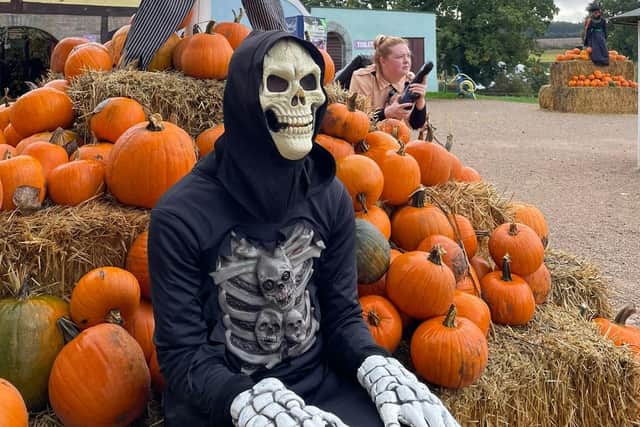 ‘Halloween Spooktacular’ is set to return to Hatton Adventure World during the October half term. Photo supplied
