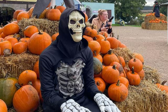 ‘Halloween Spooktacular’ is set to return to Hatton Adventure World during the October half term. Photo supplied