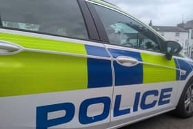 A tree surgeon has been fined after they were spotted tipping a magpie nest with chicks inside while doing tree works in Wellesbourne. Photo by Warwickshire World