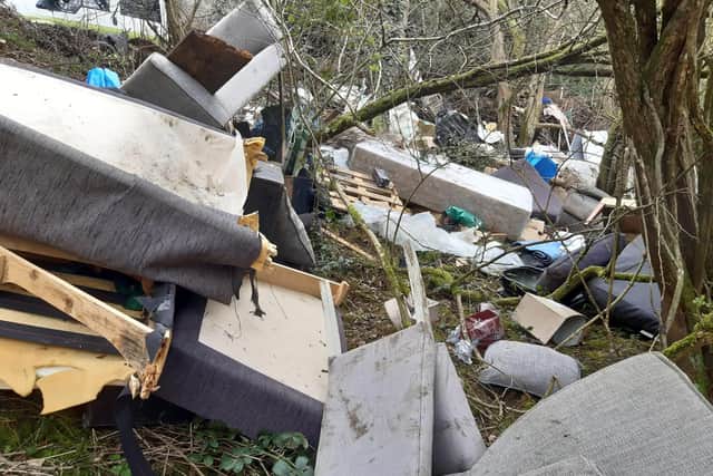 Some of rubbish dumped near the old Lias line
