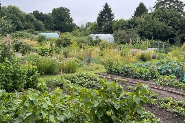 The winners of Warwick Town Council’s Annual Allotments Competition have been announced.