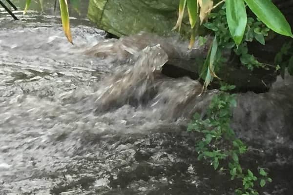 Data from ‘Top of the Poops’ has shown that a total of 6,627 hours of sewage were dumped into the River Avon and River Leam in 2022.