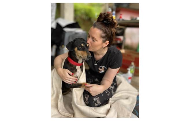 Laura Kearns, trustee of Lucas Helps Dogs, with one of the rescued animals. Picture supplied.