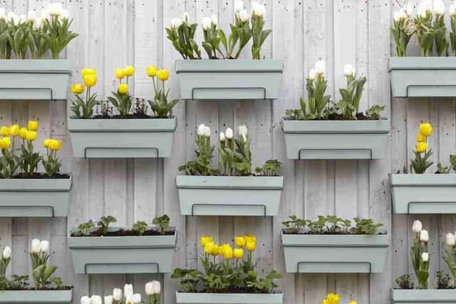 Gardening Express say vertical gardening is one of 2023's gardening trends