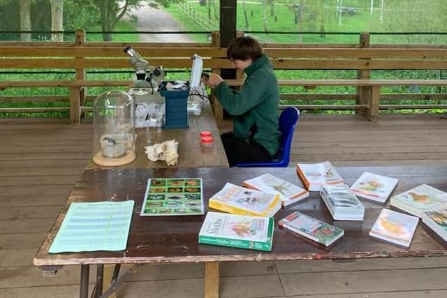 Six species that had never been seen before at Ryton Pools Country Park were discovered at a recent BioBlitz event.