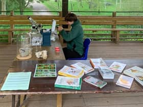 Six species that had never been seen before at Ryton Pools Country Park were discovered at a recent BioBlitz event.