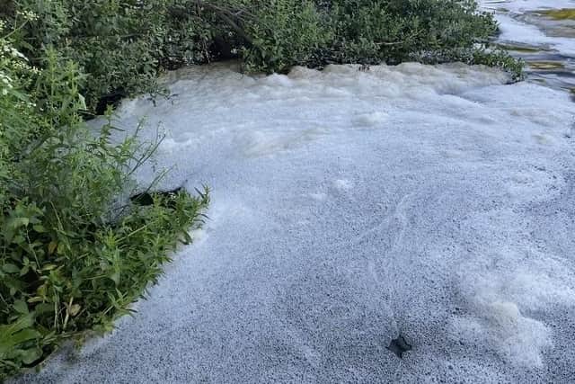 The strange foam on the surface of the River Avon near Barford. Picture by Craig Harrison.