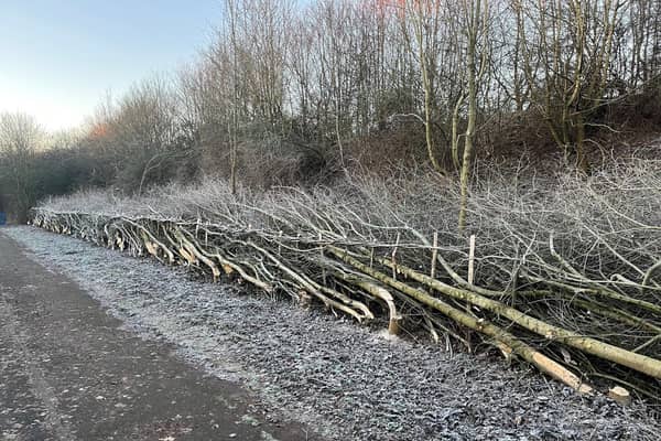 Work has taken place to widen and strengthen a stretch of hedge in an area in Warwick. Photo by Warwick District Council