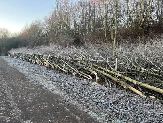 Work has taken place to widen and strengthen a stretch of hedge in an area in Warwick. Photo by Warwick District Council