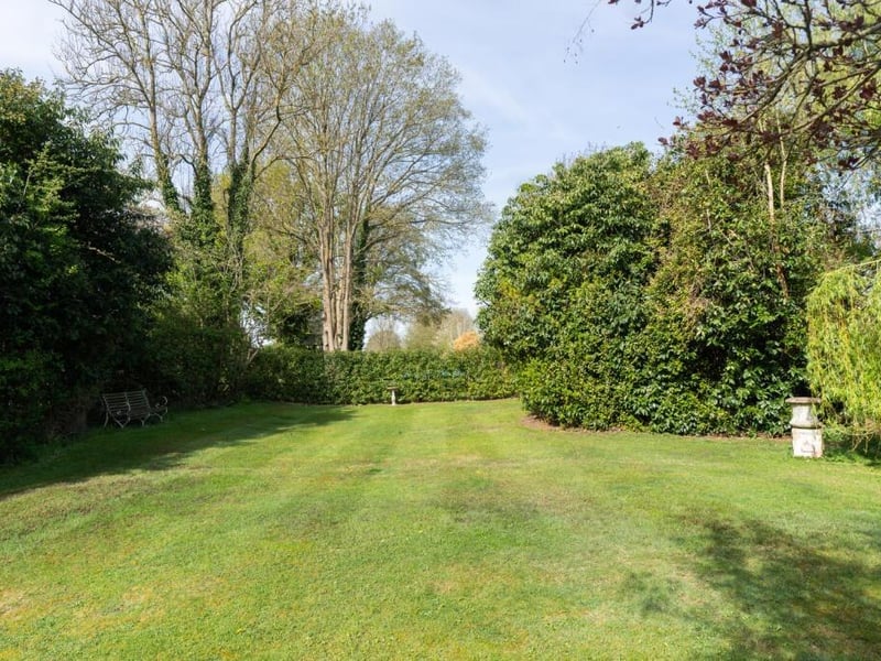 The garden.