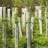 The tree nursery will be part of Warwickshire County Council's action on climate change.