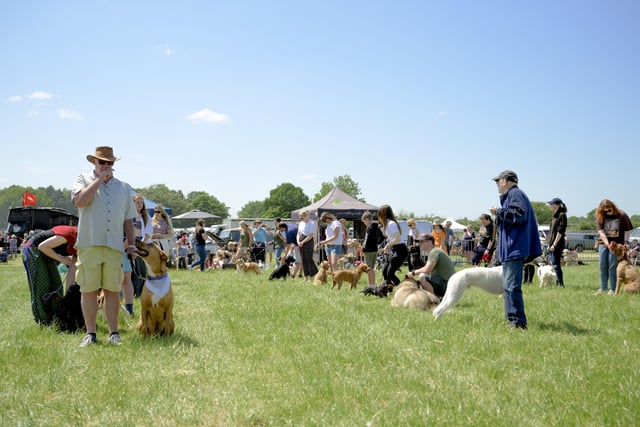 The event also featured classic countryside events with horses, dogs and the farming community. Photo supplied Jamie Gray