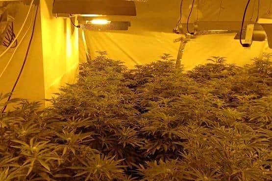 Two men have been arrested and charged for cannabis cultivation following two raids on cannabis farms in Warwick. Photo by Warwickshire Police