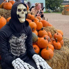 Halloween at Hatton Adventure World. Picture supplied.