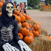 Trick or treat? Here's a selection of fun and spooky things to do in Leamington, Warwick and Kenilworth this Halloween