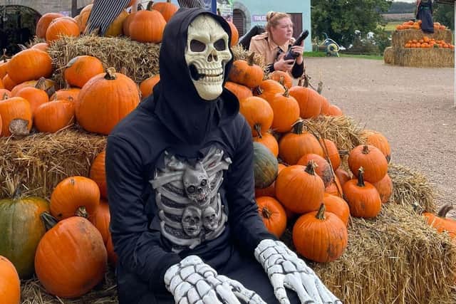 Halloween at Hatton Adventure World. Picture supplied.