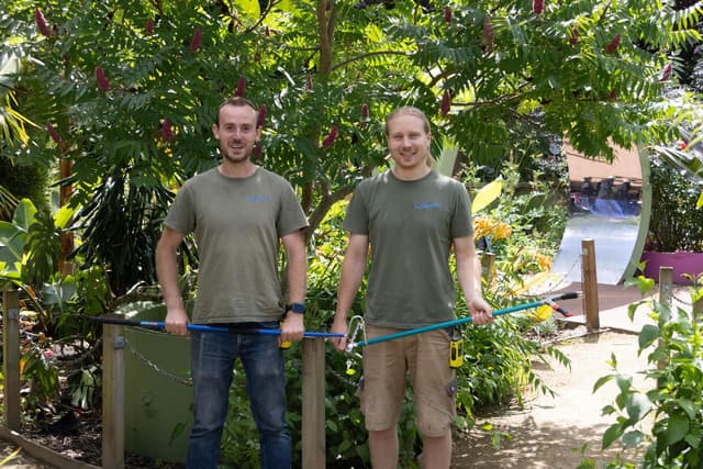 Countdown to Stratford Butterfly Farm’s 40th anniversary celebrations begins!