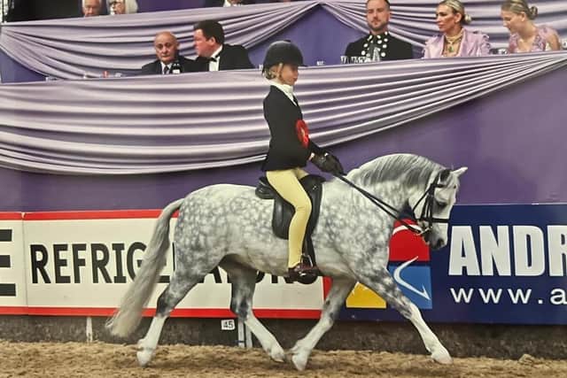 Warwickshire riders are hoping to shine at Horse of the Year Show ...