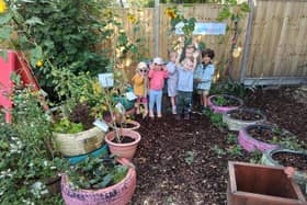 The children at Creative Flair Childcare in Kenilworth, are very proud with everything they have grown this year
