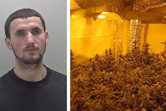 Deni Vapri, 23, of Beech Grove, Warwick has received a jail sentence after admitting producing cannabis. Photo supplied by Warwickshire Police