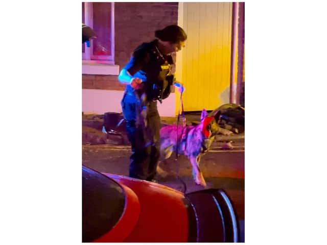 Emergency services - including police dogs - were seen at the scene. Photo by Nicholas Goode