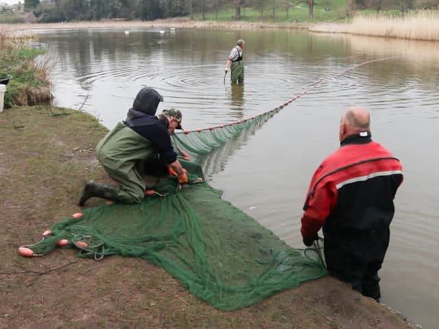 Fish have been removed from the lake at Abbey Fields in Kenilworth and relocated