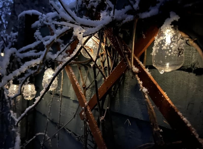 Thanks to Elżbieta Czajka for this lovely picture.