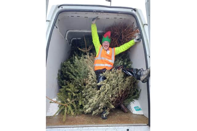 Volunteer David Bennett with some of the collected trees. Photo supplied