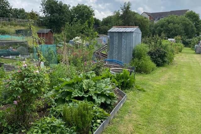 The gardening efforts of many Warwick residents will be judged this weekend in the annual allotments competition. Photo supplied by Warwick Town Council