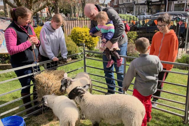 Gill Harrison, Katherine Harrison, Mat and Jess Sheffield, Sebbie Harrison and Jonah Sheffield admiring the lambs (permission obtained for photo reproduction)