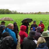 Green fields at risk - the walkers stopped to consider the impact on the fields behind Montague Road, as the link road will branch off from a new roundabout on Rugby Road, near the existing Cock Robin island. Photo: Rugby About Turn.