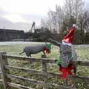 William, Webb and Ellis pictured in their recent Christmas outfits.