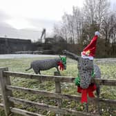 William, Webb and Ellis pictured in their recent Christmas outfits.
