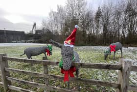 William, Webb and Ellis pictured in their recent Christmas outfits.