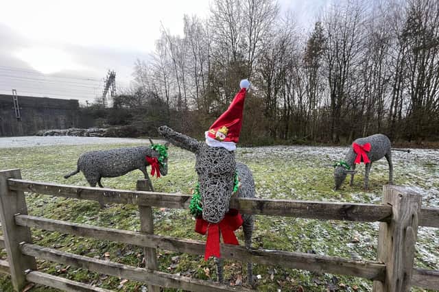 William, Webb and Ellis pictured in their recent Christmas outfits.