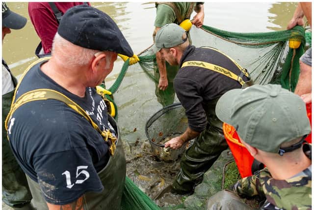 Residents, businesses and a team from Lavender Hall Fishery worked together to move more than 600 fish to a new location. Photo by Mike Baker