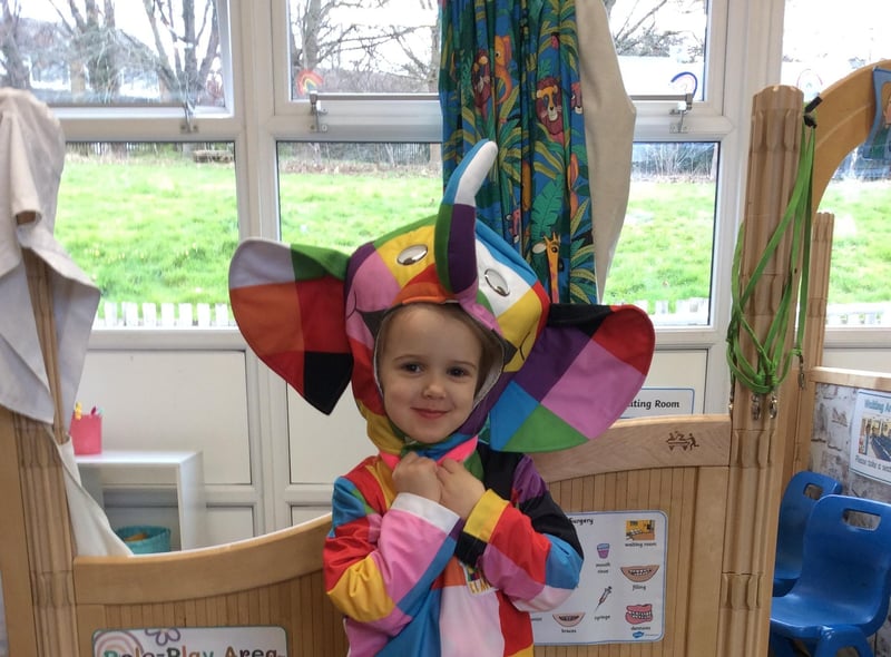Colourful elephant.
