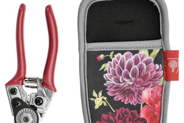 Burgon & Ball British Bloom Pruner and Holster Set