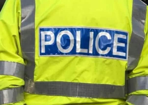 The burglary was foiled by the family dog
