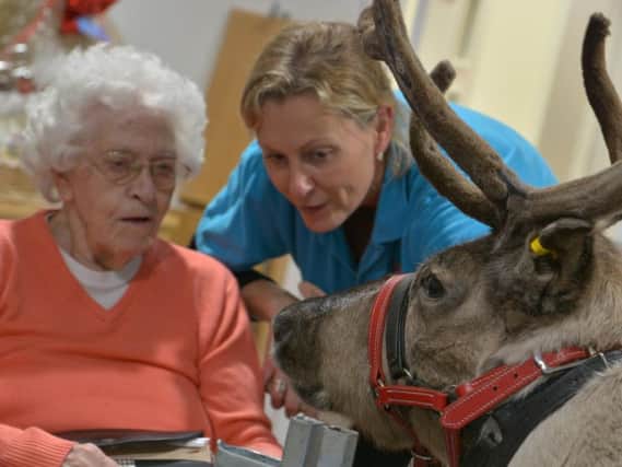 96-year-old Phyllis, who lives at Castle Brook, was delighted to welcome reindeer to her Kenilworth home.