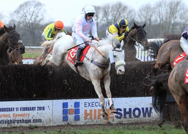 Russe Blanc, winner of the Classic Chase in 2016, returns to Warwick on Saturday aiming for a repeat. Picture: dwprattphotography.co.uk