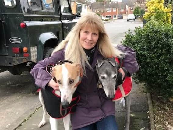 Sue Cotton with rescue greyhound Harry (left) and her older greyhound Seren (right)