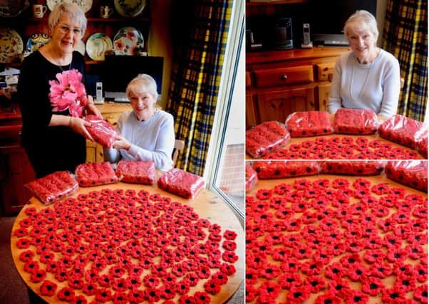Janet Honnoraty made 1,161 poppies for the Warwick Poppies Project.