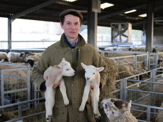 Henry Dingle with two lambs