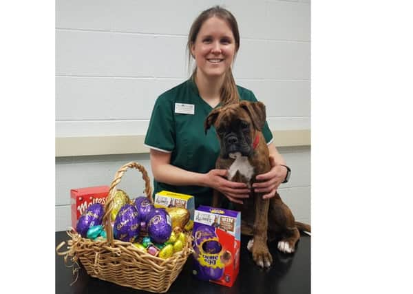 Helen Wing, vet surgeon at Avonvales Warwick practice, with Ruby and some of the Easter treats which can be harmful to dogs.