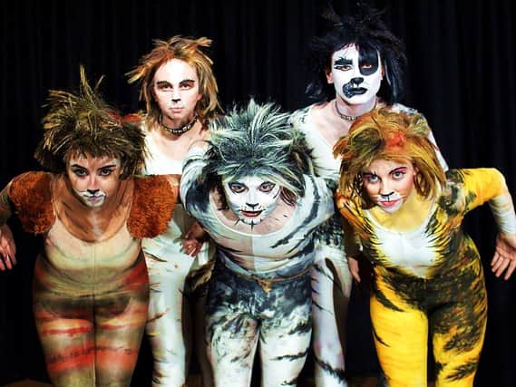 Five Star Theatre presents the musical Cats