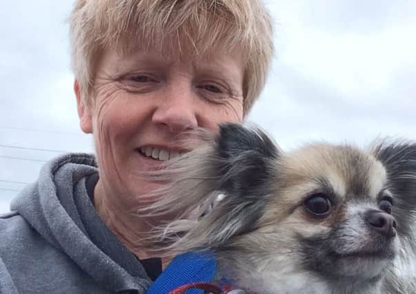 Jane Neary and her dog Harry will be climbing Snowdon in June to raise funds for Therapy Dogs Nationwide.