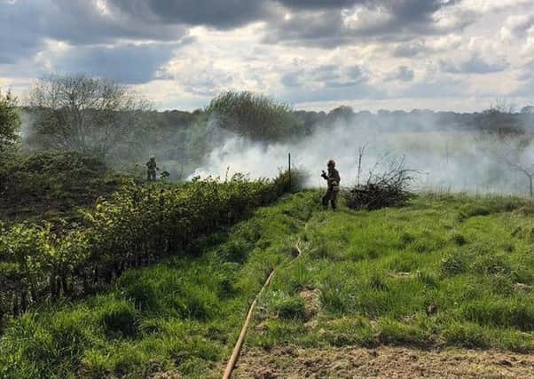 Fire crews were called out to a grass fire in Kenilworth on Tuesday. Photo by Kenilworth Fire Station.