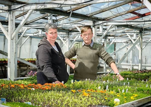 Peter Healey and his Wife who own Greenleaf Nursery, Banbury Road, Southam, face having to move both their business and home where they  have been for over 20 years. The proposed HS2 line, will run straight through the site. NNL-180105-222716009