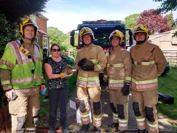 Fire crews with the rescued hedgehogs